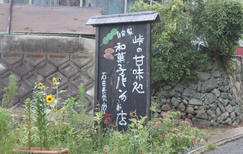 IMG_7122-490x310